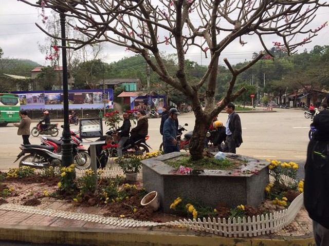 Phản cảm cảnh tranh cướp hoa trang trí ở ga Đồng Đăng - Ảnh 6.