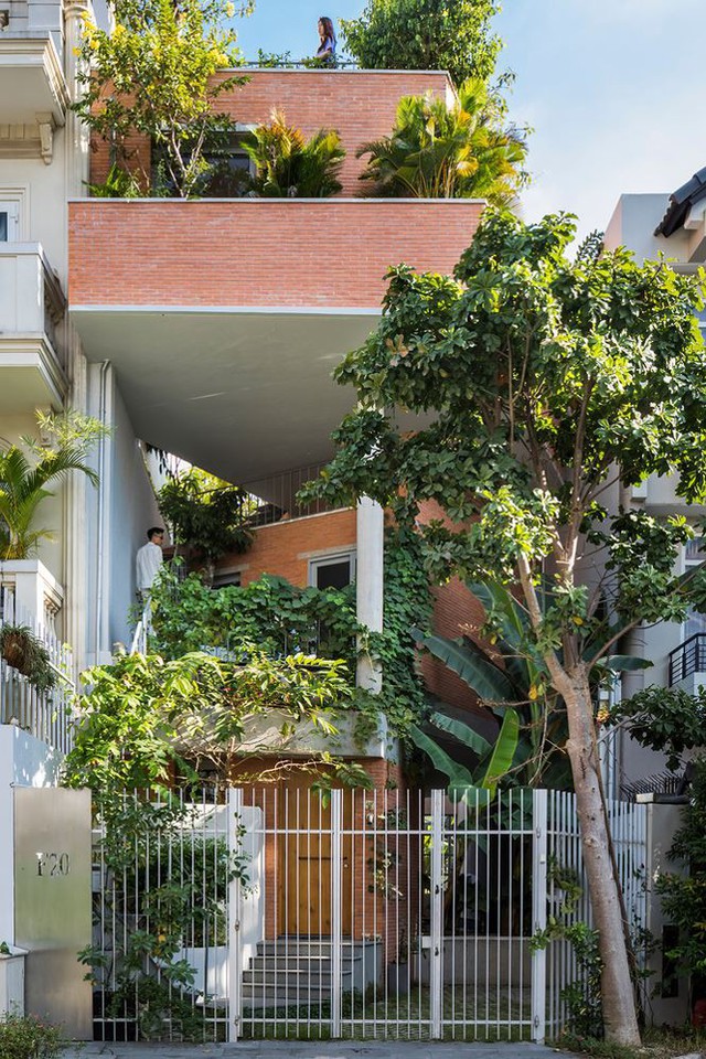 Nhà phố 3 tầng tuyệt đẹp với bể bơi và hàng chục khu vườn ở Sài Gòn - Ảnh 1.