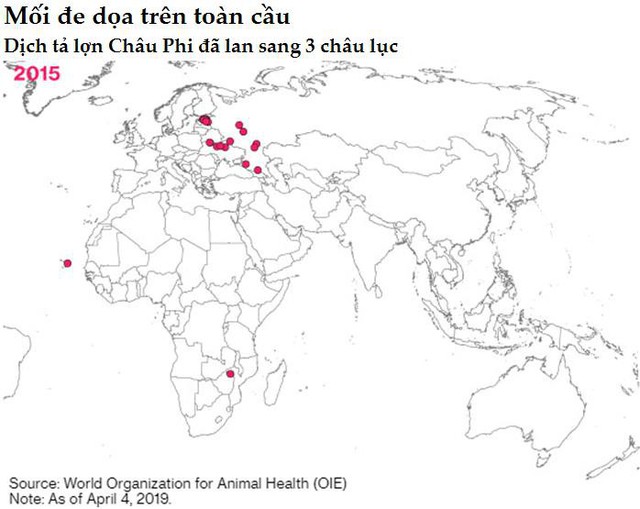 Giá thịt và cá trên toàn cầu sẽ tăng do dịch tả lợn Châu Phi - Ảnh 2.