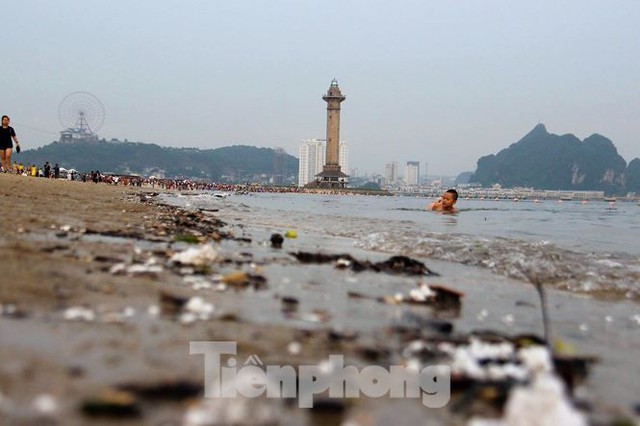 Trẻ ngụp lặn bơi trong rác biển ở Hạ Long - Ảnh 5.