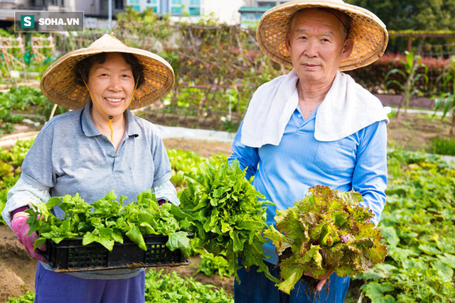 Ngôi làng sống thọ ở Nhật Bản: Ăn 4 loại thực phẩm mỗi ngày giúp đẩy lùi lão hóa, bệnh tật - Ảnh 2.