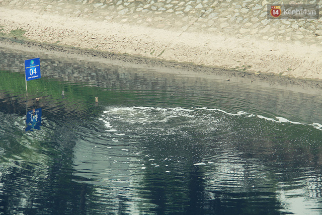 5 ngày sau khi nước Hồ Tây xả vào sông Tô Lịch: Cá chết nổi trắng, bốc mùi hôi trở lại - Ảnh 5.