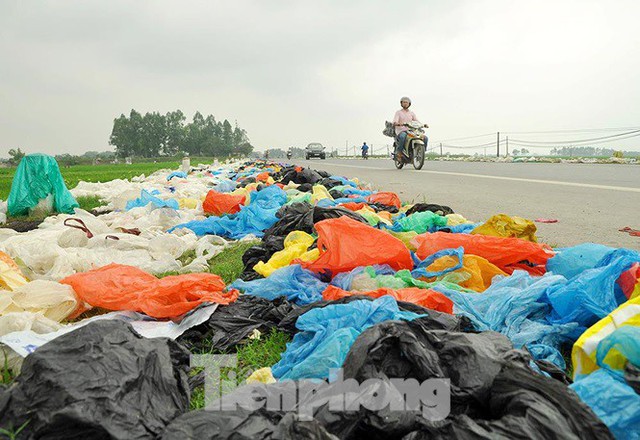 Thảm hoạ môi trường từ túi nilon, rác thải nhựa - Ảnh 13.
