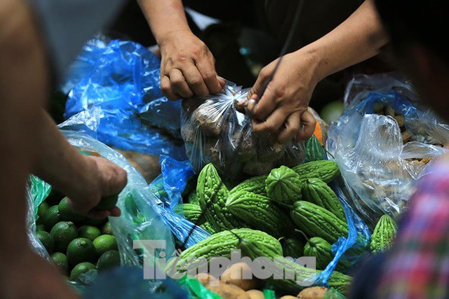 Thảm hoạ môi trường từ túi nilon, rác thải nhựa - Ảnh 4.
