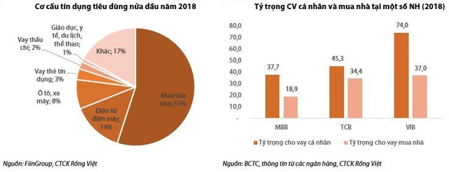 VDSC: Khó vay tiền mua nhà, xe, hàng điện tử, điện máy - Ảnh 1.