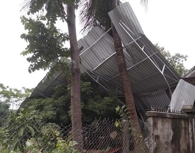 Hàng loạt cây đổ, nhà cửa tan hoang sau khi bão số 4 đổ bộ vào Nghệ An - Hà Tĩnh - Ảnh 8.