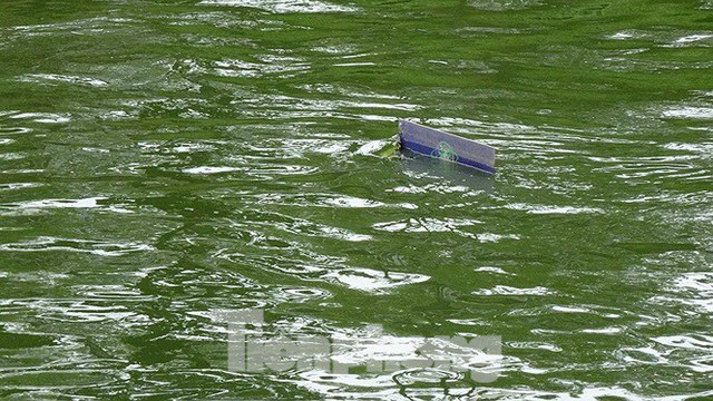 Nước sông Tô Lịch trong veo sau bão, cần thủ thỏa sức buông câu bắt cá - Ảnh 14.
