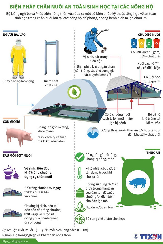 [Infographics] Chăn nuôi an toàn sinh học, phòng dịch tả lợn châu Phi - Ảnh 1.