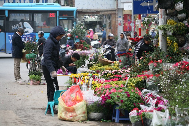 Mặc thời tiết mưa rét, người dân chen chân mua hoa Tết tại chợ hoa lâu đời nhất Hà Nội - Ảnh 2.