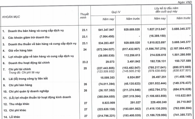 HAGL Agrico (HNG) báo lỗ ròng hơn 2.308 tỷ đồng do nguồn thu thấp và xử lý tài sản xấu - Ảnh 1.