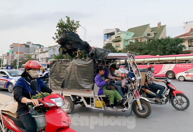  Đào, quất, hoa ngập tràn phố trước rằm tháng Chạp  - Ảnh 12.