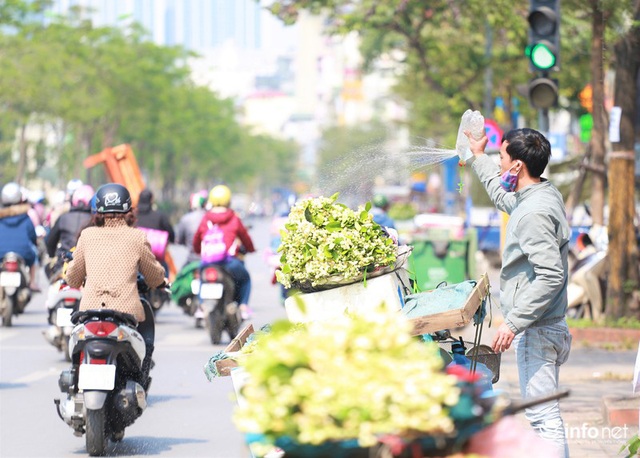 Hoa bưởi đầu mùa xuống phố, thơm nồng nàn khắp phố phường Hà Nội - Ảnh 11.