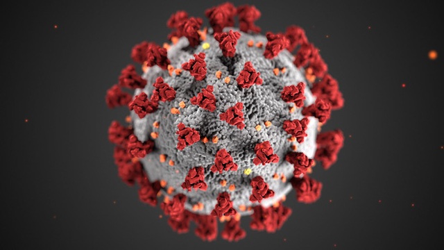 Khối cầu gai khuynh đảo thế giới: Thấy gì từ bức hình minh họa 3D nổi tiếng của virus SARS-CoV-2? - Ảnh 2.