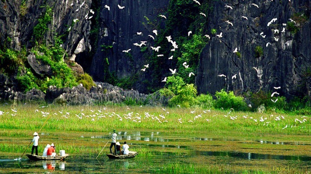 Nếu yêu thiên nhiên và muốn đắm chìm trong khung cảnh bình yên của vùng sông nước, Ninh Bình chính là điểm đến tuyệt vời dành cho bạn - Ảnh 16.