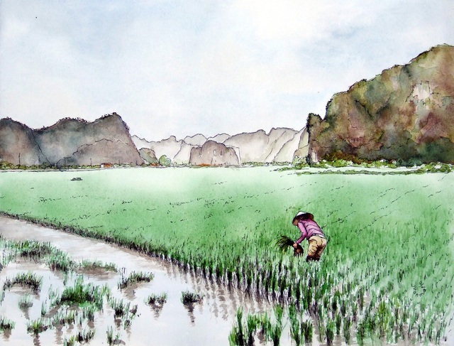 Bộ tranh đẹp quá Việt Nam ơi được vẽ bởi họa sĩ người Pháp, cộng đồng mạng quốc tế thích thú ngắm nhìn một nơi bình dị, an yên nhưng rất tươi đẹp - Ảnh 4. Bộ tranh đẹp quá Việt Nam ơi được vẽ bởi họa sĩ người Pháp, cộng đồng mạng quốc tế thích thú ngắm nhìn một nơi bình dị, an yên nhưng rất tươi đẹp - Ảnh 4.