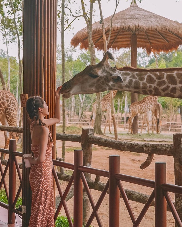 3 vườn thú safari ở Việt Nam: Tận mắt chiêm ngưỡng thế giới hoang dã với giá cực phải chăng, phù hợp với các gia đình có con nhỏ  - Ảnh 11.
