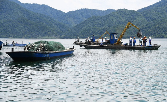 Trung Quốc: Đập thủy điện xả lũ, bội thu 25.000kg cá mè hoa - Ảnh 1.