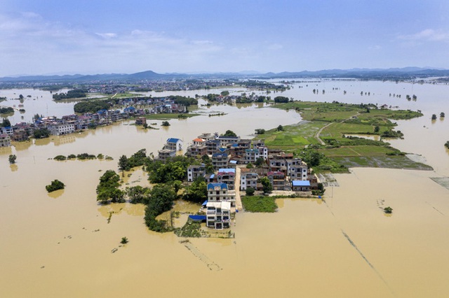  COVID-19 vừa ngớt, lũ lụt lại tấn công; người sống gần hồ Bà Dương (TQ) bức xúc vì con đê đậu phụ - Ảnh 5.
