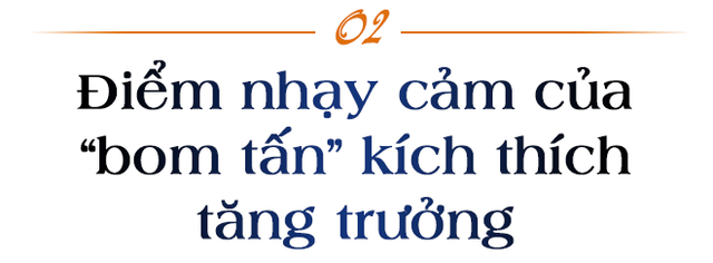 PGS.TS Nguyễn Khắc Quốc Bảo: Điểm nhạy cảm của bom tấn kích thích tăng trưởng - Ảnh 3.