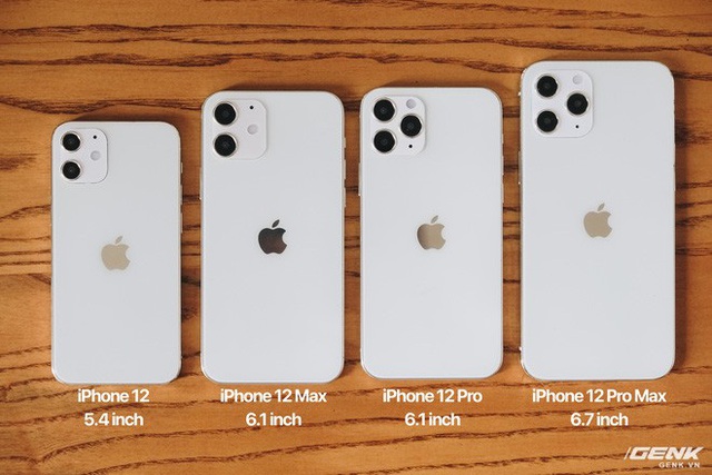 Trên tay mô hình iPhone 12, iPhone 12 Max, iPhone 12 Pro và iPhone 12 Pro Max tại Việt Nam - Ảnh 1.
