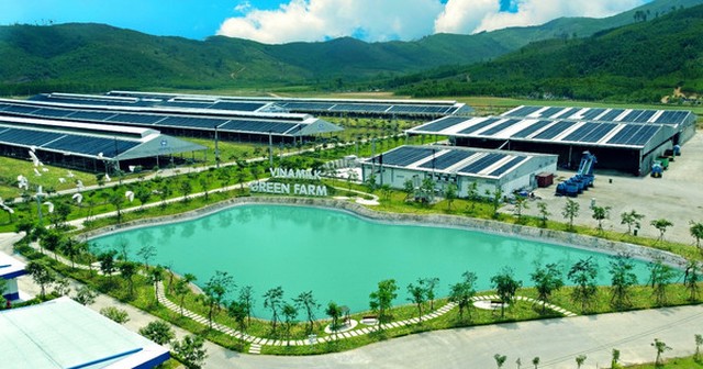 Vinamilk: Doanh thu quý III/2022 ổn định ở mức cao, chi nhánh nước ngoài tăng trưởng ấn tượng