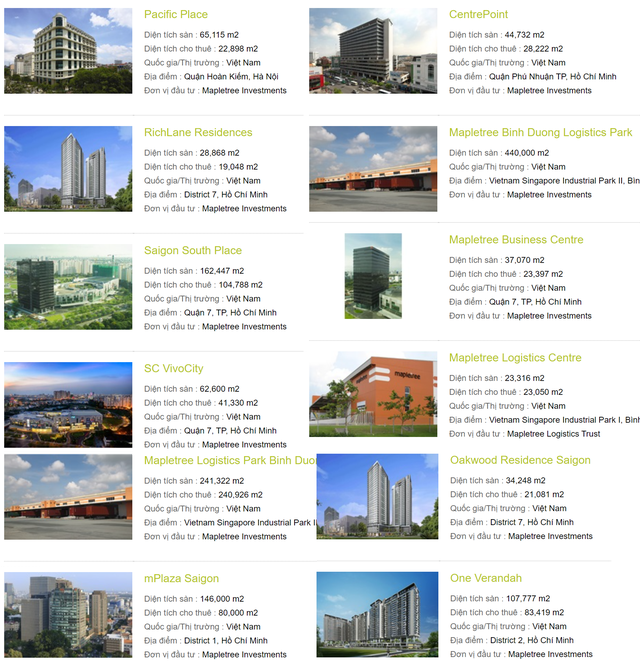 Temasek – Quỹ đầu tư hàng đầu khu vực với hàng tỷ USD rót vào VinHomes, VNG và thị trường bất động sản Việt Nam - Ảnh 5.