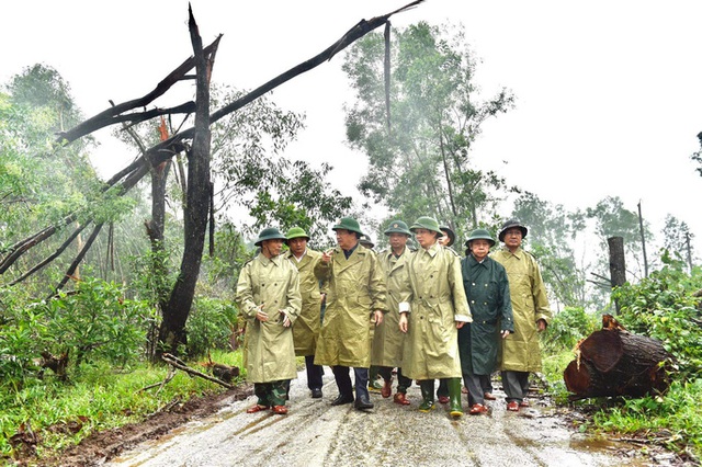 40 công nhân, chuyên gia thủy điện Rào Trăng 3 di chuyển bằng đường rừng đến Rào Trăng 4  - Ảnh 1.