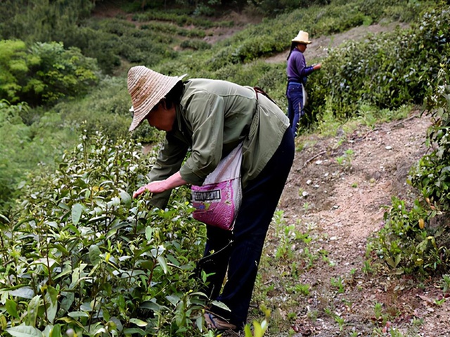 Mắc ung thư gan nhưng suốt 20 năm vẫn sống khỏe, cụ bà 96 tuổi chia sẻ bí quyết đánh bại ung thư, kéo dài tuổi thọ chỉ gói gọn trong 3 chữ - Ảnh 1.