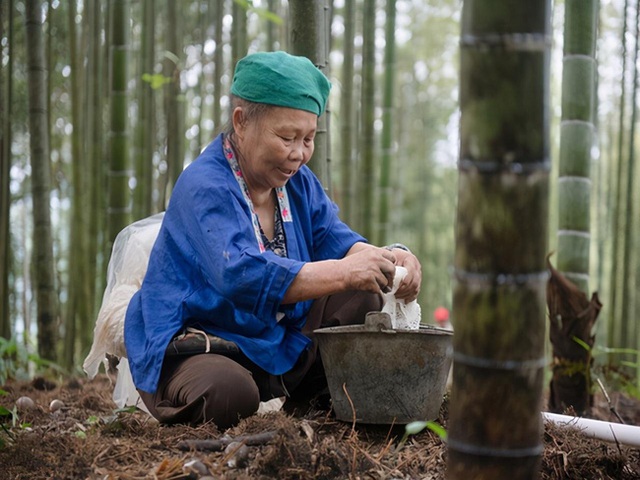 Mắc ung thư gan nhưng suốt 20 năm vẫn sống khỏe, cụ bà 96 tuổi chia sẻ bí quyết đánh bại ung thư, kéo dài tuổi thọ chỉ gói gọn trong 3 chữ - Ảnh 5.