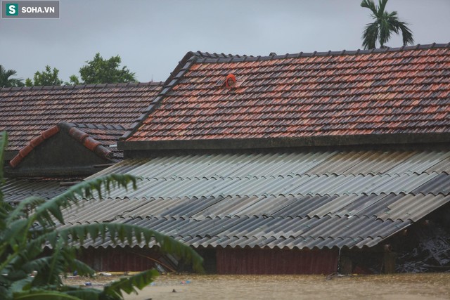  Những cánh tay ‘cầu cứu’ từ mái nhà trong cơn lũ lịch sử ở Quảng Bình - Ảnh 2.