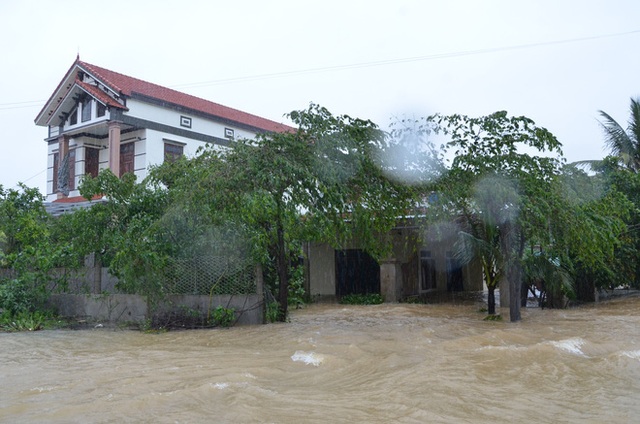  Dân Quảng Bình lùa trâu lên quốc lộ tránh lũ, cứu hộ chạy đua giải cứu bà cụ gãy chân tay kẹt trong nước - Ảnh 14.