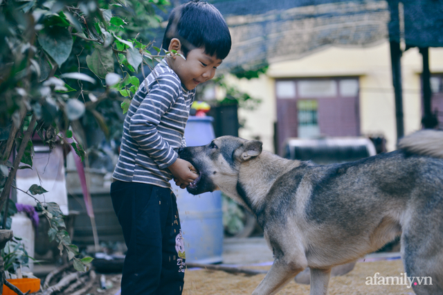 Ký ức người chết hụt trong trận “đại hồng thủy” 70 năm mới thấy một lần: Trải nghiệm cận tử của em bé 4 tuổi, 3 tấn thóc mọc mầm và tinh thần “còn da lông mọc, còn chồi lên cây” - Ảnh 5.