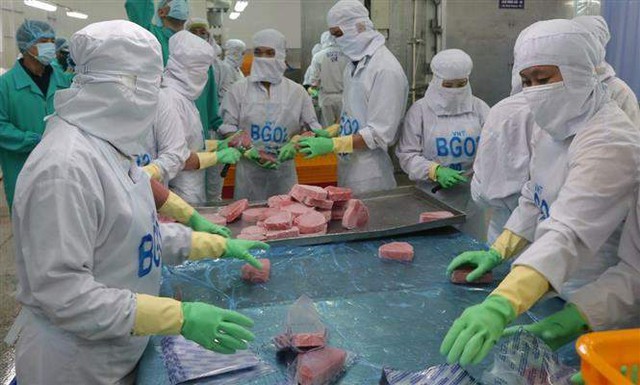 Ai Cập - Thị trường tiềm năng cho sản phẩm cá ngừ đóng hộp Việt Nam - Ảnh 3.