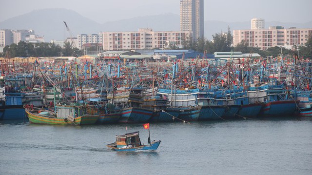 Ngư dân Đà Nẵng hối hả thuê xe cẩu đưa thuyền đi tránh bão số 9 - Ảnh 2.