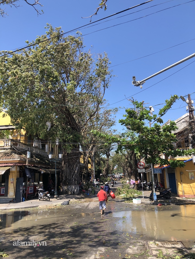 Hội An tan hoang sau bão số 9, những rặng hoa giấy rực rỡ ngày thường nay bỗng hóa xác xơ, nước sông Hoài dâng lên ngập cả nhiều tuyến đường trung tâm phố cổ - Ảnh 11.