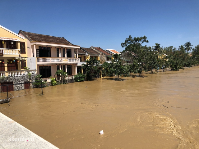 Hội An tan hoang sau bão số 9, những rặng hoa giấy rực rỡ ngày thường nay bỗng hóa xác xơ, nước sông Hoài dâng lên ngập cả nhiều tuyến đường trung tâm phố cổ - Ảnh 9.