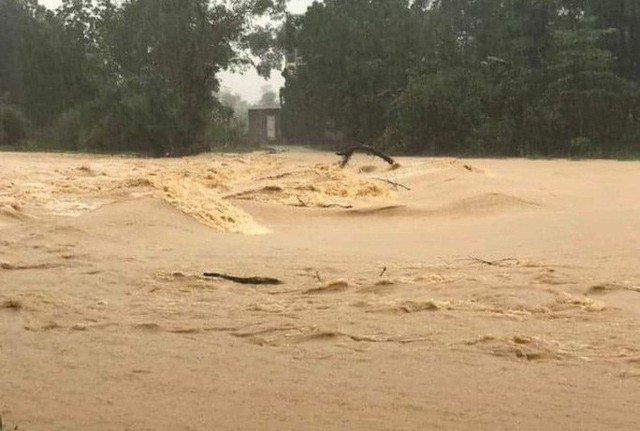  Mưa lớn, thủy điện đồng loạt xả lũ, hàng ngàn nhà dân ở Nghệ An bị ngập sâu  - Ảnh 2.