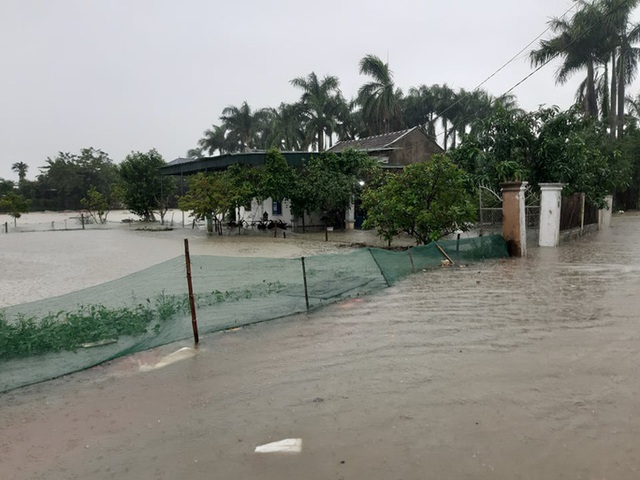  Mưa lớn, thủy điện đồng loạt xả lũ, hàng ngàn nhà dân ở Nghệ An bị ngập sâu  - Ảnh 19.