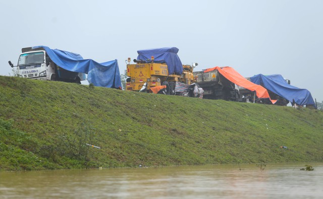  Nghệ An: Người dân ven sông phải lên đê dựng lều cho trâu bò trú ẩn - Ảnh 18.