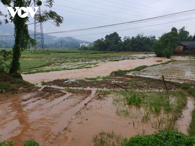 Mưa lũ tại Lào Cai làm một cháu bé tử vong, nhiều nơi trên địa bàn ngập lụt, sạt lở đất - Ảnh 11.