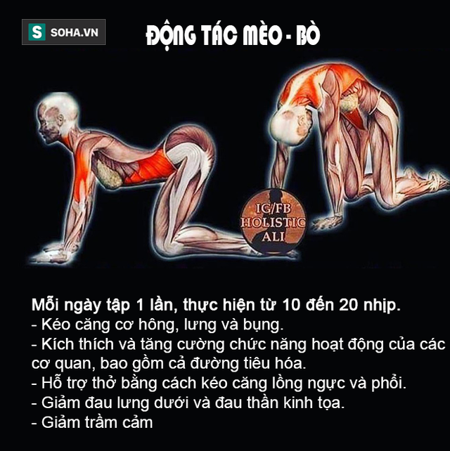 Tư thế Mèo - Bò và tiết lộ từ một nghiên cứu trên 84 phụ nữ trầm cảm - Ảnh 6.