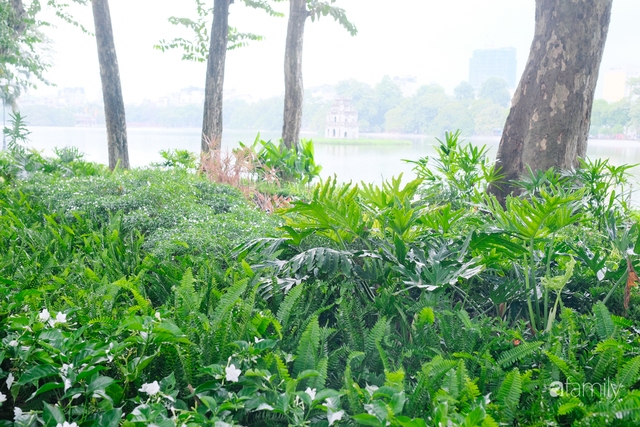 Hồ Gươm thay áo mới, người Hà Nội rủ nhau đi dạo trên vỉa hè lát đá đẹp như công viên ở trời Âu, tận hưởng tiết trời thanh mát đầu đông - Ảnh 13.