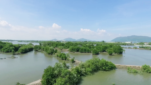 Mạng xã hội bỗng chốc “xanh rì” với chiến dịch “Triệu cây vươn cao cho Việt Nam xanh” - Ảnh 3.