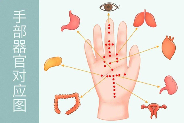 Khí huyết tắc thì thân tâm đều bệnh: Tự tay thực hiện 6 cách này, kinh mạch sẽ khơi thông - Ảnh 3.