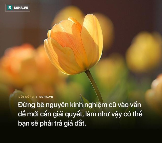 5 câu nói có thể đúng với tất cả mọi người, nghe xong ai cũng sẽ nghĩ ngay đến bản thân mình - Ảnh 2.