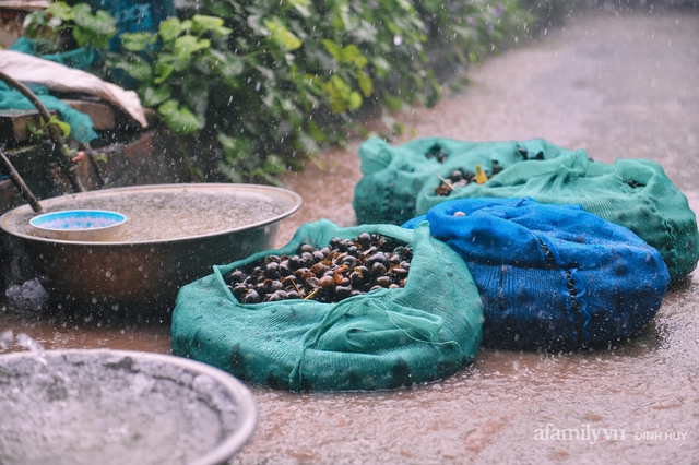 Chuyện người phụ nữ gánh cả giang sơn chăm chồng tai nạn, nuôi con vào Đại học bằng cái làn bắt ốc và một trái tim mong manh nhưng đầy yêu thương - Ảnh 20.