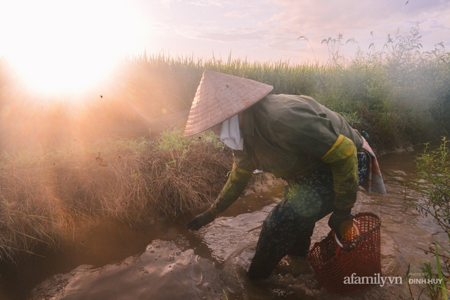 Chuyện người phụ nữ gánh cả giang sơn chăm chồng tai nạn, nuôi con vào Đại học bằng cái làn bắt ốc và một trái tim mong manh nhưng đầy yêu thương - Ảnh 5.