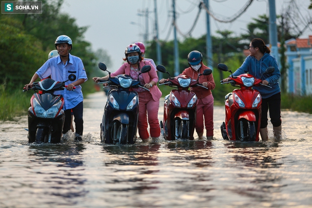  [Ảnh] Triều cường ở TP.HCM đạt đỉnh, hàng loạt xe chết máy giữa đoạn ngập sâu - Ảnh 10.