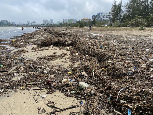  [Ảnh] Hơn 500 tấn rác dạt vào bãi biển Đà Nẵng - Ảnh 2.