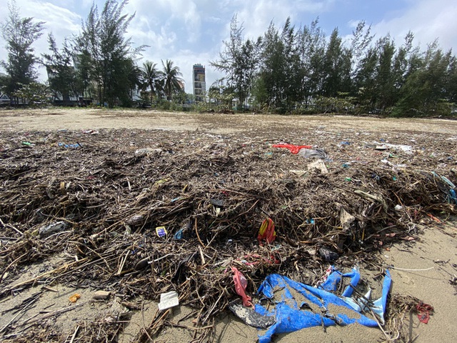  [Ảnh] Hơn 500 tấn rác dạt vào bãi biển Đà Nẵng - Ảnh 3.